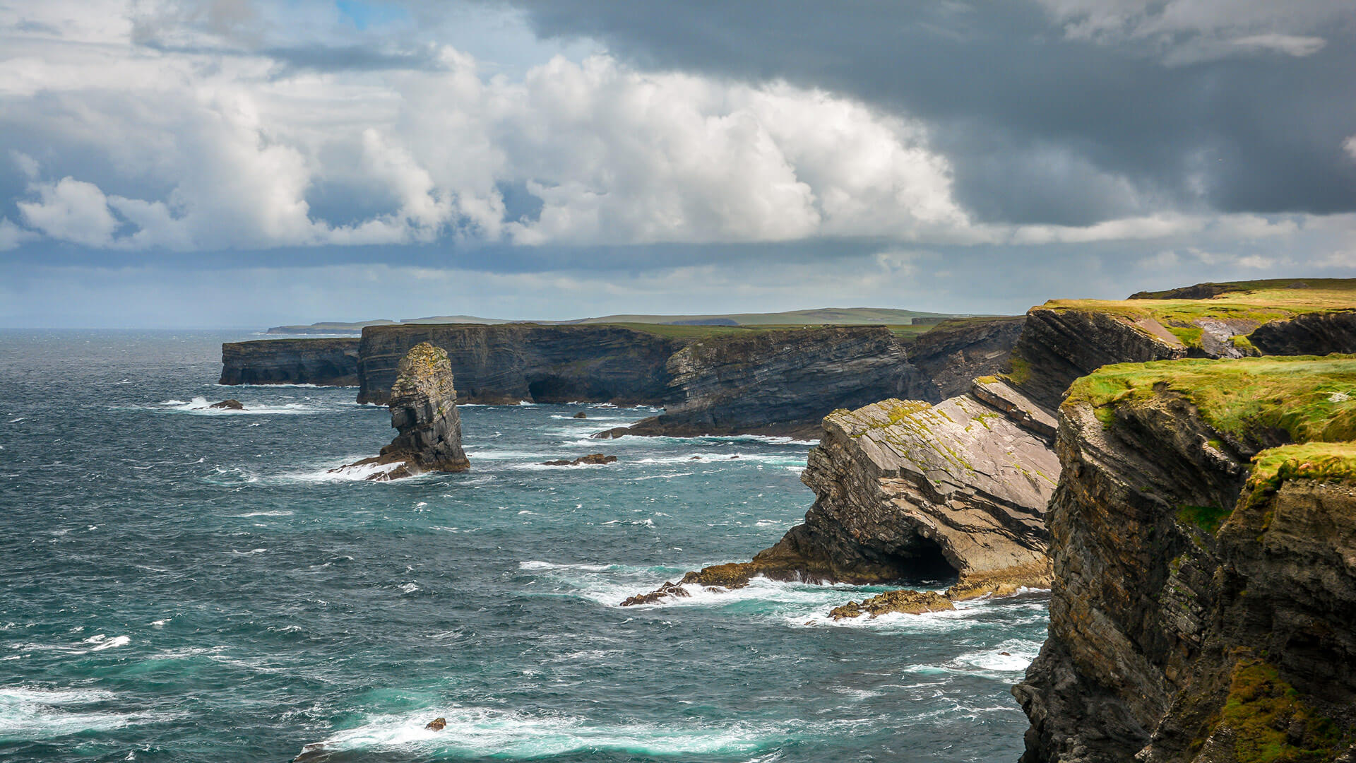 Irish Seaweed Tour | Seaweed Foraging | Treacys West County Hotel